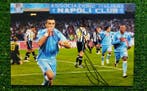 Napoli - Italiaanse voetbal competitie - Fabio Quagliarella, Nieuw