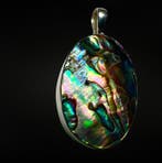 Abalone hanger - gezet in sterling zilver 925 Sieraden -, Verzamelen