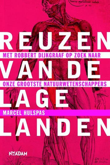 Reuzen van de lage landen - Marcel Hulspas 9789046813171, Boeken, Verzenden, Gelezen, Marcel Hulspas