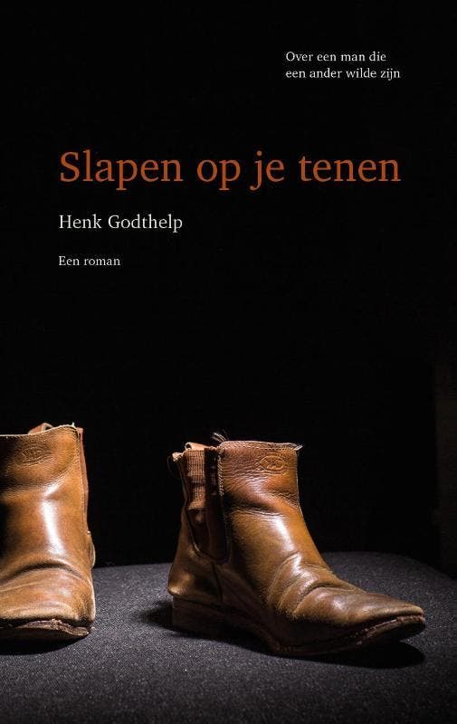Slapen op je tenen 9789082471403 Henk Godthelp, Boeken, Romans, Gelezen, Verzenden