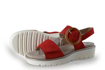 Ara Sandalen in maat 37 Rood, Kleding | Dames, Schoenen, Verzenden, Sandalen of Muiltjes, Zo goed als nieuw, Ara