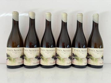 2024 Laudes Finca Agochada Treixadura y Caino Blanco -, Nieuw