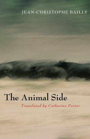 The Animal Side - Jean Christophe Bailly 9780823234448, Verzenden, Zo goed als nieuw, Jean Christophe Bailly