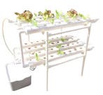 Hydrocultuur Systeem 36/72 Gaten voor Groentenen Fruit Thuis, Boeken, Verzenden, Nieuw