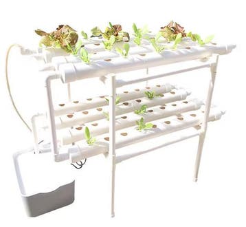 Hydrocultuur Systeem 36/72 Gaten voor Groentenen Fruit Thuis, Boeken, Verzenden, Nieuw