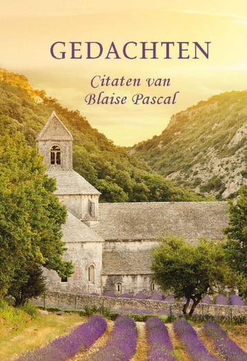 Pareltje gedachten - Pascal Blaise 9789462782495, Boeken, Verzenden, Zo goed als nieuw, Pascal Blaise