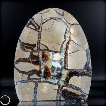 Septarien vrije vorm met druse – natuurlijke structuur