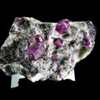Robijn - Mysore, India - Hoogte: 6 cm - Breedte: 4.2 cm- 98