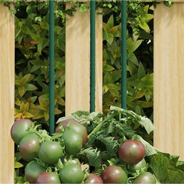 vidaXL Plantenstaken 30 st 60 cm staal groen, Tuin en Terras, Bloembakken en Plantenbakken, Verzenden, Nieuw, 60 cm of meer