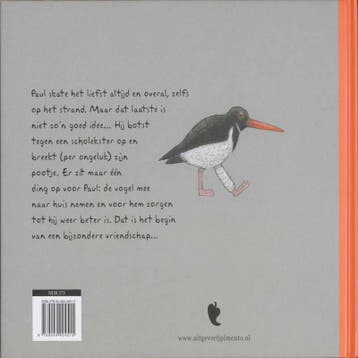 Hoe Paul (per ongeluk) de poot van Piet brak 9789049924515, Boeken, Verzenden, Zo goed als nieuw, Marion de Man