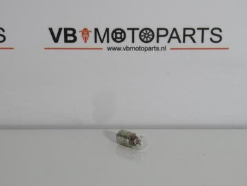 Lamp 6V 3W BA9S, Motoren, Ophalen of Verzenden, Nieuw
