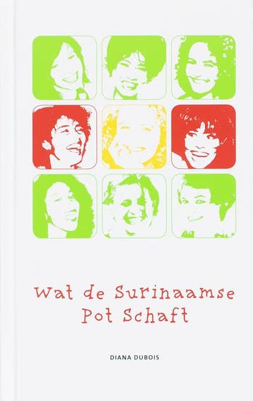 Wat de Surinaamse pot schaft - Diana Dubois 9789075812022, Boeken, Verzenden, Gelezen, Diana Dubois
