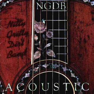 cd - Nitty Gritty Dirt Band - Acoustic, Verzenden, Zo goed als nieuw