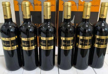 2015 Bodegas Valle de Monzón, Salegar - Ribera del Duero, Nieuw