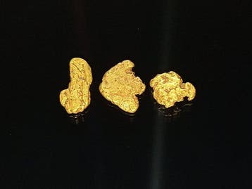 Het zeldzame goudklomp uit Lapland Goud nuggets- 0.51 g -