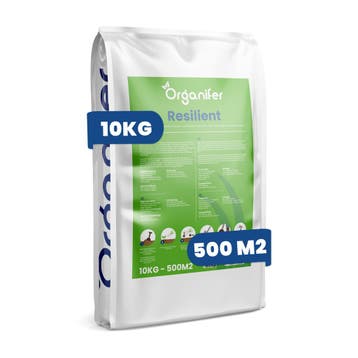 Sport- en speelgazoonzaad - Resilient (10 kg voor 500 m2), Tuin en Terras, Verzenden, Gehele jaar, Volle zon