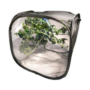 Insecten Kweeknet Netcage M (30x30x30 cm) - Opvouwbare insec