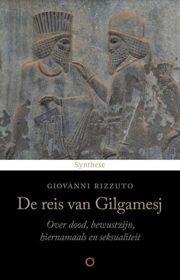 De Reis Van Gilgamesj | Giovanni Rizzuto | Nieuw, Boeken, Ophalen of Verzenden, Nieuw, Giovanni Rizzuto
