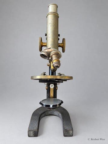 Simple microscope - 1900-1910 - Reichert