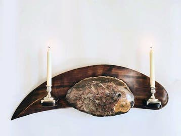 Fossiel hout - Gefossiliseerd hout - 30 cm - 84 cm