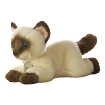 Siamese kat knuffel - pluche - beige - 20 cm, Verzenden, Nieuw