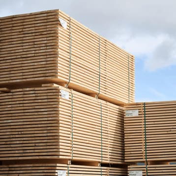 Vuren steigerplank 30x195x3000mm, Ophalen of Verzenden, Nieuw, Steigerhout