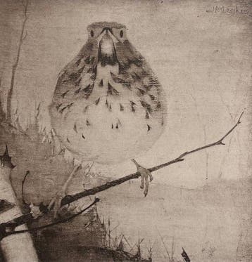 Jan Mankes (1889-1920) - Lijster op tak