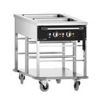 GGM Gastro | Bain-marie wagen - 2 kW - 2x GN 1/1 - | TWBK200, Verzenden, Nieuw, Effen