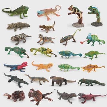 Realistische Reptielen Speelgoedset: Kameleon, Leguaan, Baar, Dieren en Toebehoren