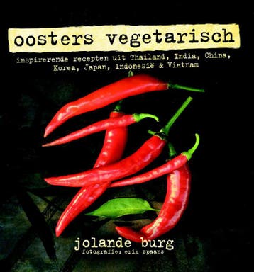 Oosters vegetarisch - Jolande Burg 9789061128304, Verzenden, Zo goed als nieuw, Jolande Burg