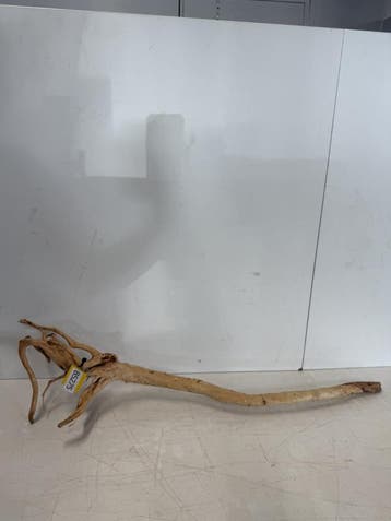 Boutique Stump Selected BS275 - 86x23x20cm (Natuurlijk hout), Ophalen of Verzenden, Nieuw, Plant(en), Steen of Hout