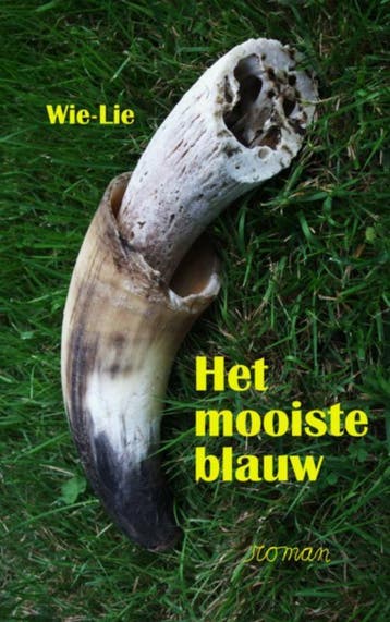 Het mooiste blauw - Wiel Goossens 9789491080944, Verzenden, Gelezen, Wiel Goossens