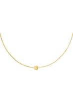 RVS ketting klavertje Goud kleur Stainless Steel, Verzenden, Nieuw