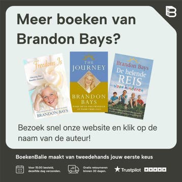 De helende Reis - Brandon Bays 9789022535691, Boeken, Verzenden, Zo goed als nieuw, Brandon Bays