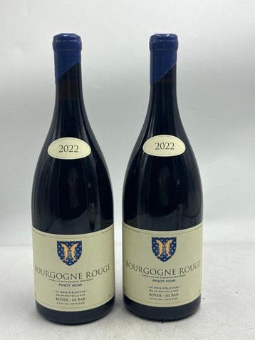 2022 Boyer - De Bar Bourgogne Pinot Noir - Bourgogne - 2, Nieuw