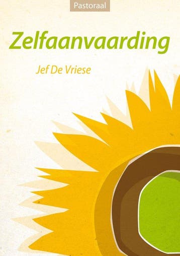 ZELFAANVAARDING 9789071813450 Jef de Vriese, Boeken, Verzenden, Zo goed als nieuw, Jef de Vriese