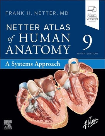 9780443287985 Netter Basic Science- Netter Atlas of Human..., Boeken, Verzenden, Nieuw, Frank H. Netter