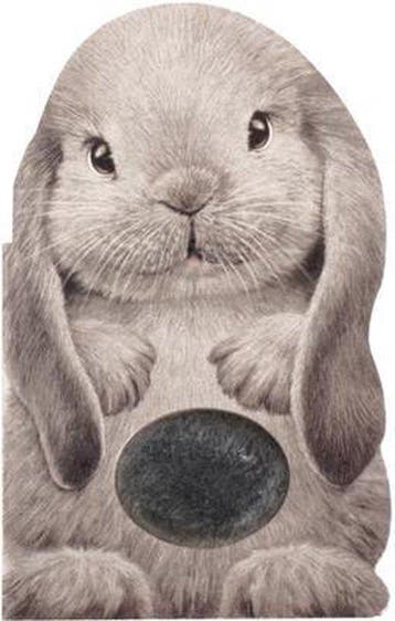 Furry Bunny - Annie Auerbach 9781438050119, Verzenden, Gelezen, Annie Auerbach
