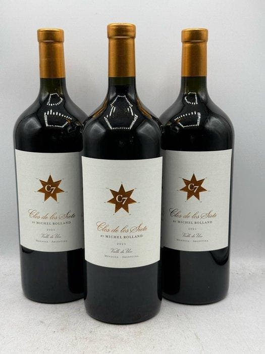 2021 Clos de Los Siete Michel Rolland - Mendoza - 3 Magnums, Verzamelen, Wijnen