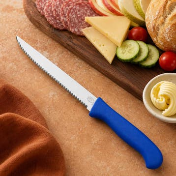 RÖR Solingen Vespermes – Steakmes – RVS – Lemmet 13 c, Ophalen of Verzenden, Nieuw, Rvs of Chroom