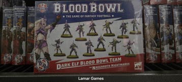 Warhammer Dark Elf Blood Bowl Team (Warhammer nieuw), Ophalen of Verzenden, Nieuw
