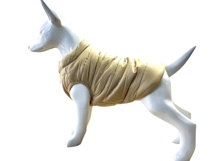Honden winterjas Dons Beige voor kleine honden (Jassen), Dieren en Toebehoren, Hondenkleding, Hondenjas, Nieuw, Ophalen of Verzenden