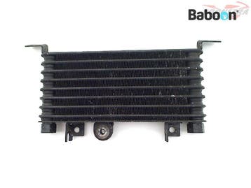 Oliekoeler Triumph Sprint RS 955i 1999-2004, Motoren, Verzenden, Gebruikt