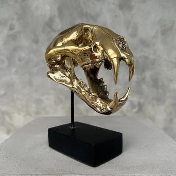 sculptuur, NO RESERVE PRICE - Polished bronze Snow Leopard -
