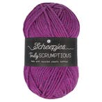 Scheepjes Truly Scrumptious - 376 Açaí Bowl - Garen van Ge, Hobby en Vrije tijd, Breien en Haken, Ophalen of Verzenden, Nieuw