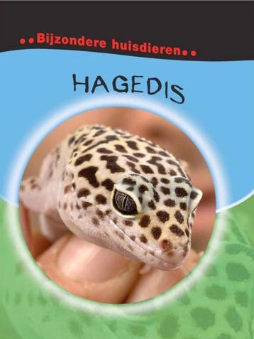 Hagedis / Bijzondere huisdieren - Deborah Chancellor, Verzenden, Gelezen, Deborah Chancellor
