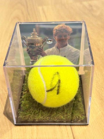Tennis - Jannik Sinner - Tennisbal, Nieuw