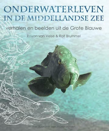 Onderwaterleven in de Middellandse Zee - Rolf Brummel, Verzenden, Zo goed als nieuw, Rolf Brummel