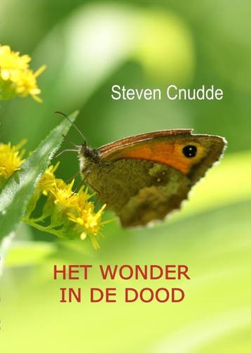Het Wonder In De Dood | Steven Cnudde | Nieuw, Ophalen of Verzenden, Nieuw, Steven Cnudde