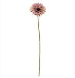 Gerbera 53 cm OudRoze Zijden bloemen / st, Ophalen of Verzenden, Nieuw